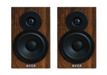 Dolphin Sound DS5A