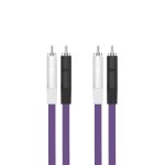 Oyaide Neo D+ RCA to RCA Class S